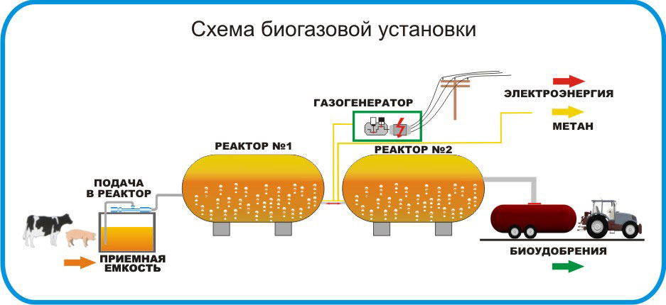 Как получается биогумус